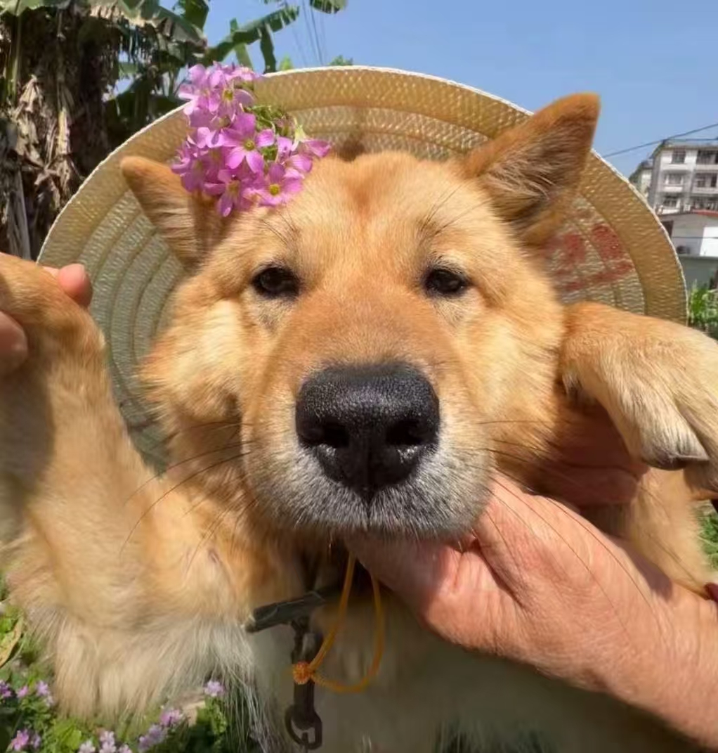 个人照片